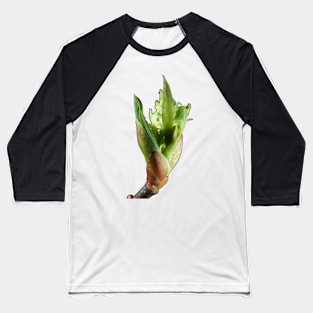 Young leaf bud close-up Baseball T-Shirt